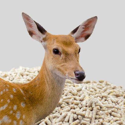 ergaenzungsfuttermittel gatterwild bubblenavibanner